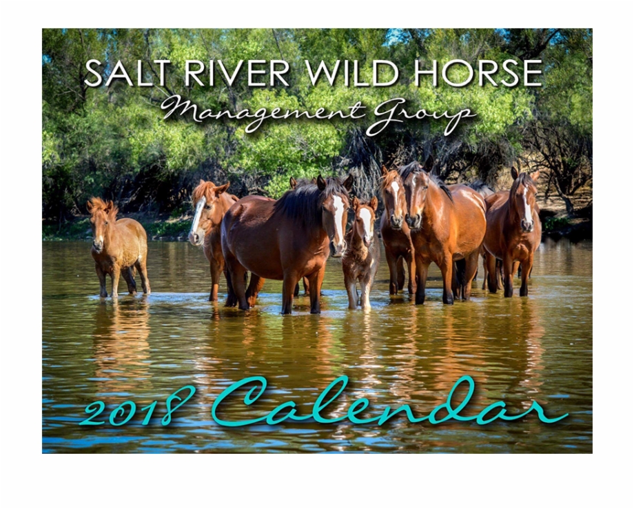 Salt River Wild Horse Management Group Calendar Mustang