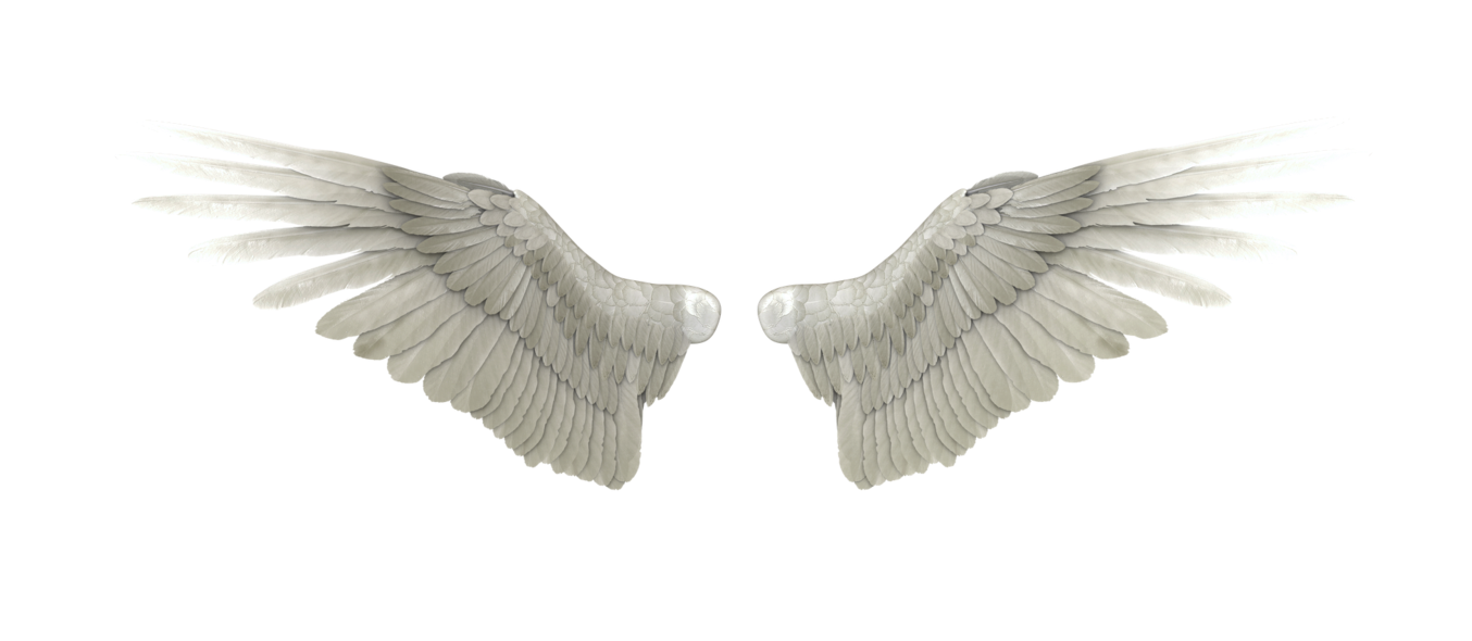 Angel Wings Hd Png - Clip Art Library