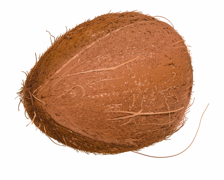 Coconuts Portable Network Graphics