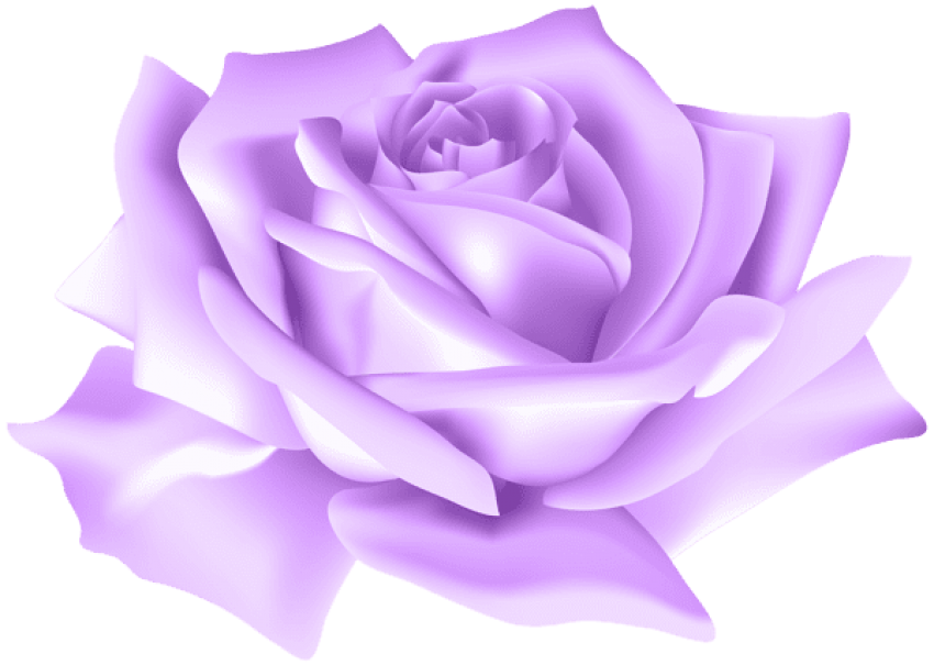 Purple Rose Png - Clip Art Library