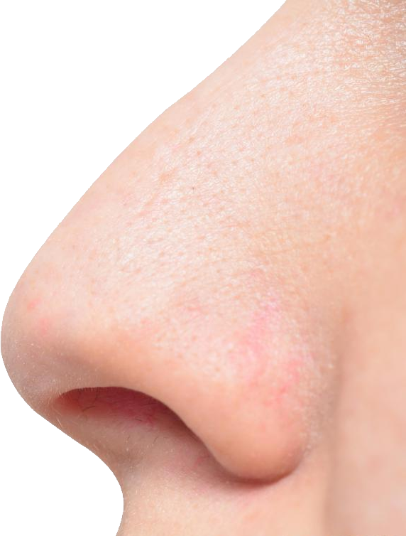 Human Nose Png Portable Network Graphics