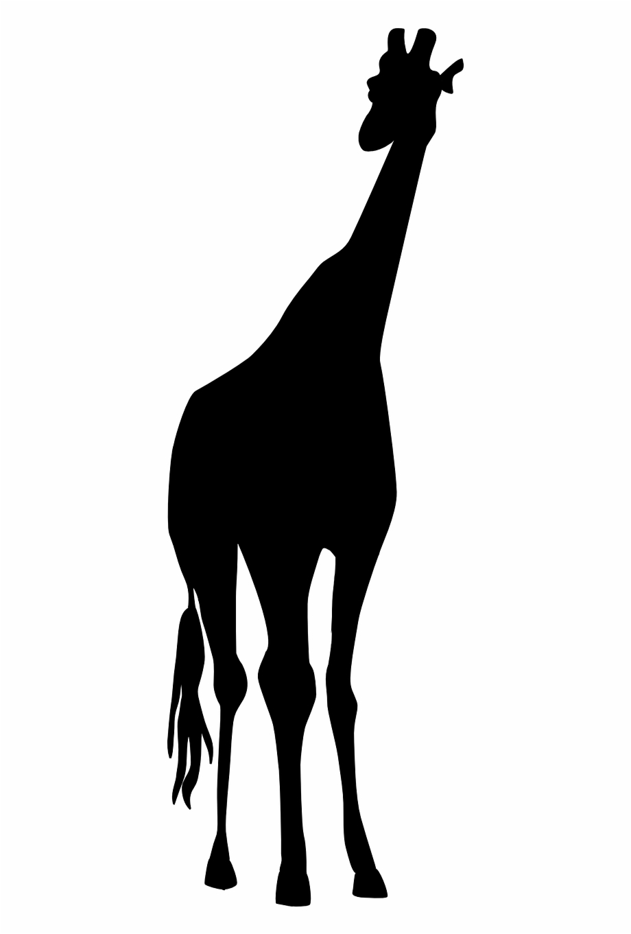 Giraffe Safari Black Tall Png Image Jirafa En