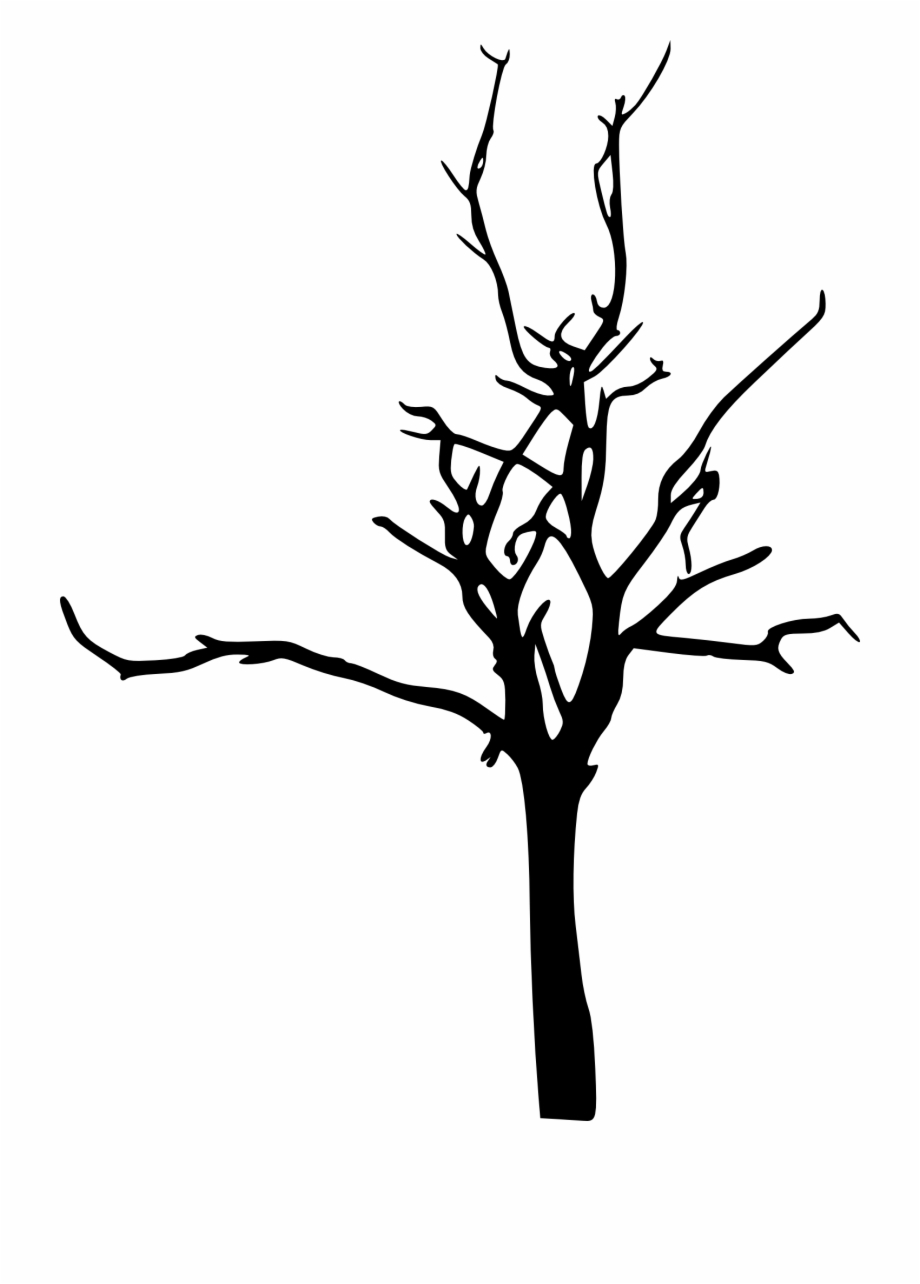 Сухое дерево без фона