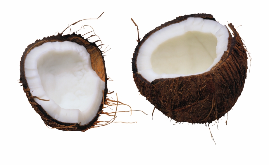 Coconuts Free Background Coconut Picture Transparent