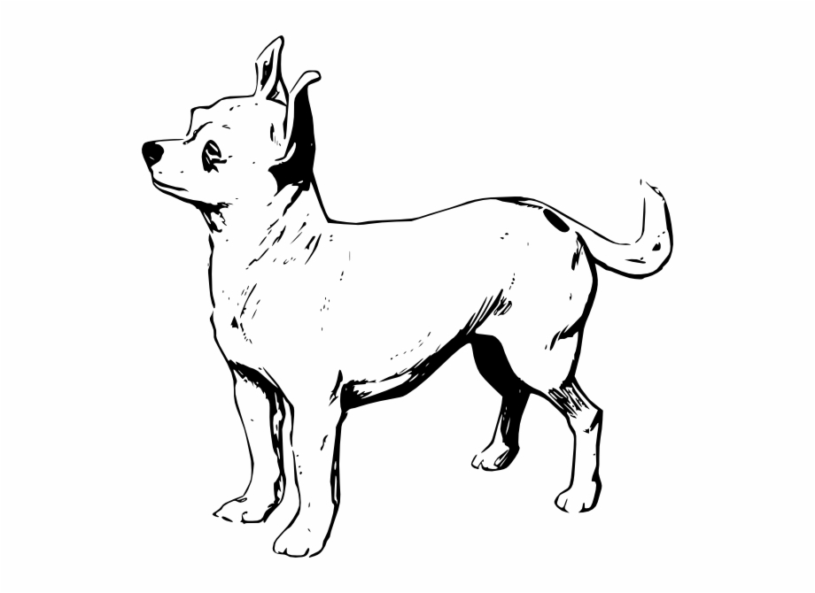 Dog Png Clip Art Chihuahua Black And White