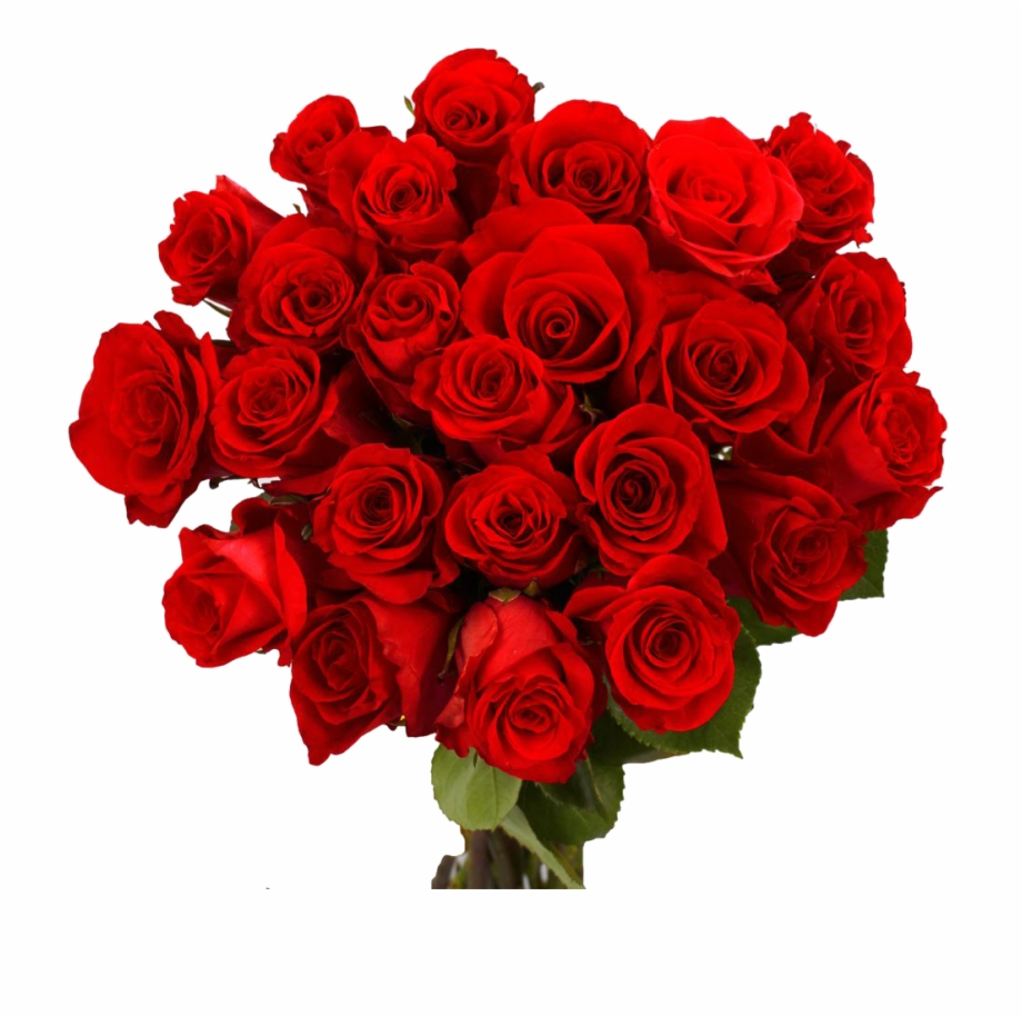 Valentine Day Flower Png Download Image Red Roses