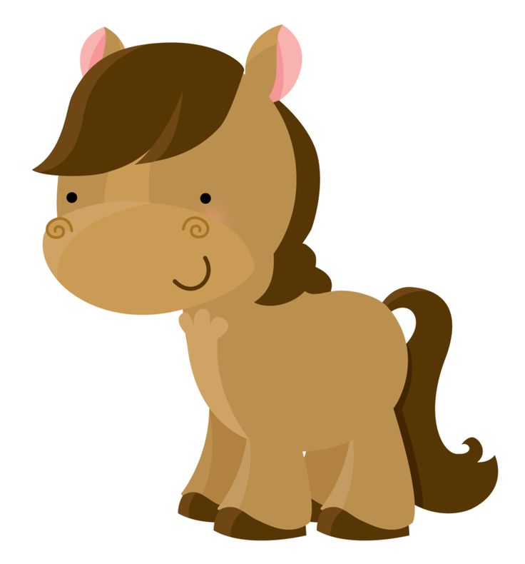 Baby Horse Png