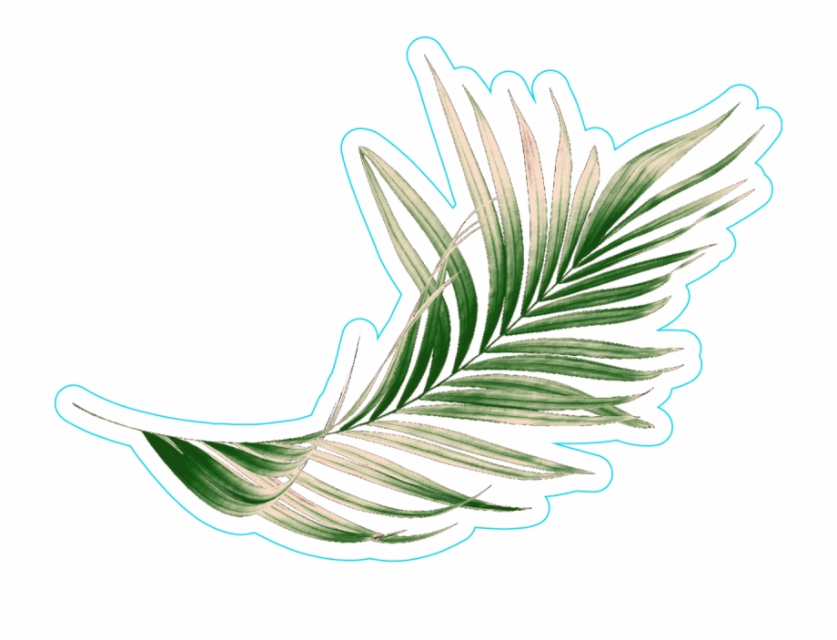 Green Palm Leaf Sticker Illustration