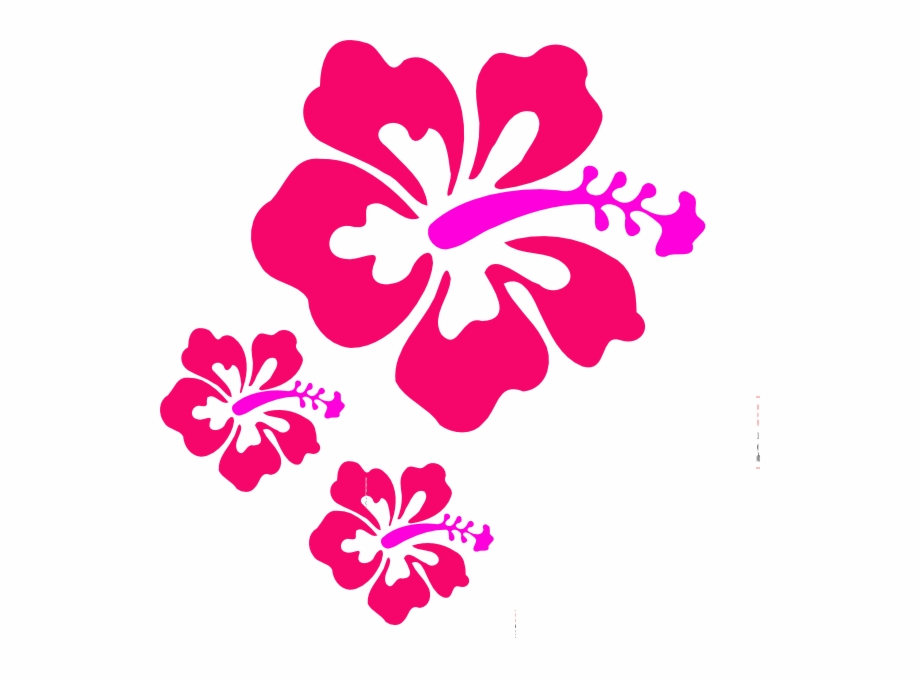 How To Set Use Coral Hibiscus Svg Vector