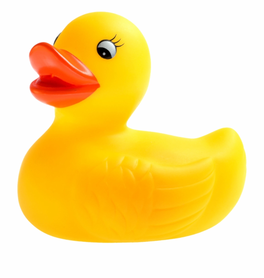 Rubber Duck Png Transparent Background Rubber Duck Png