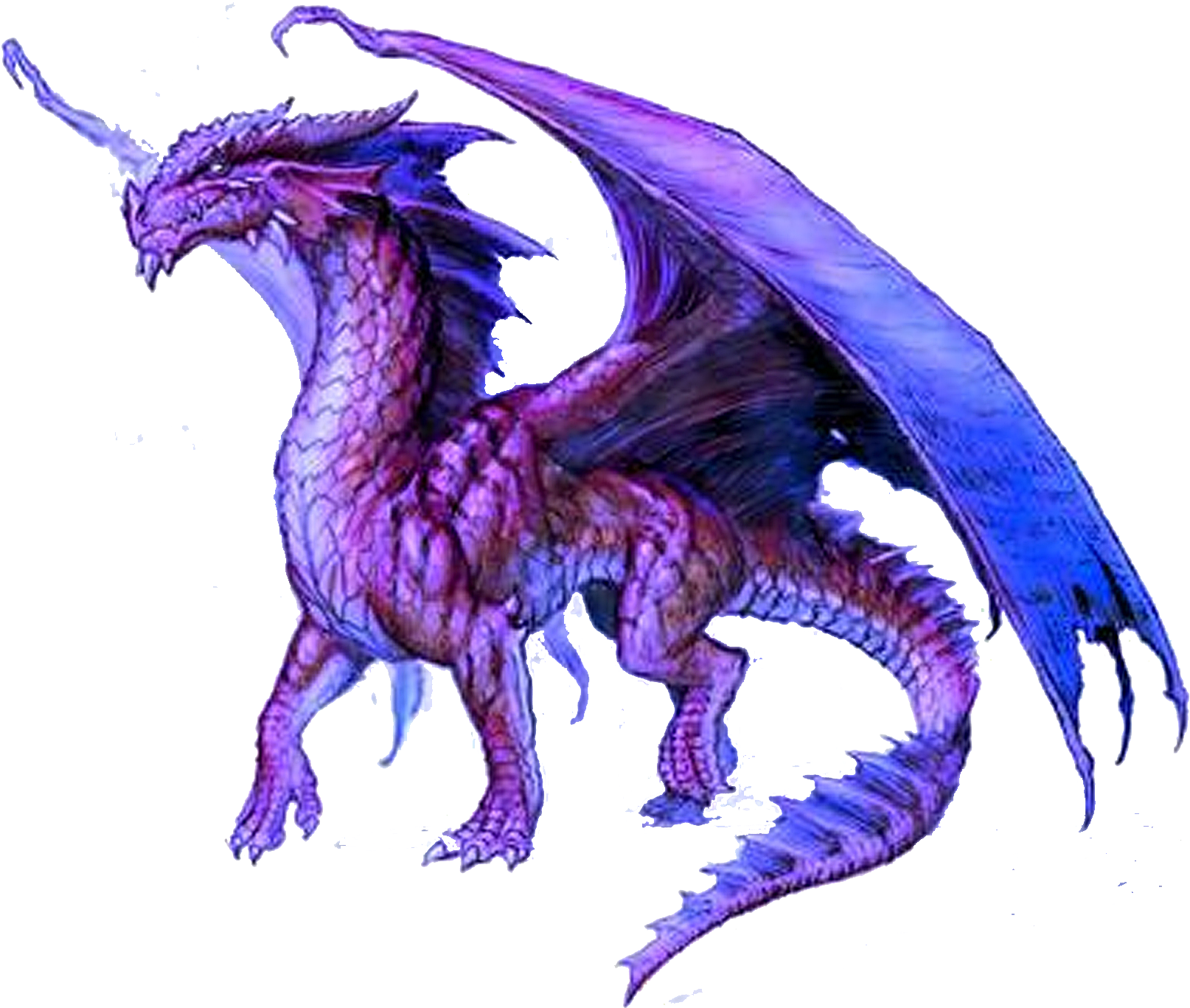Purple Dragon Png