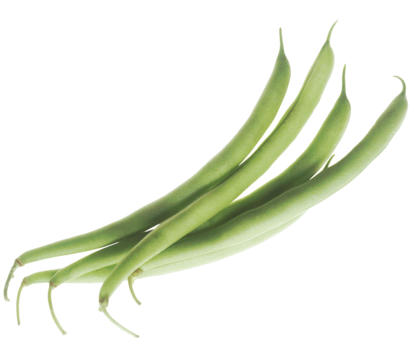 Beans Png