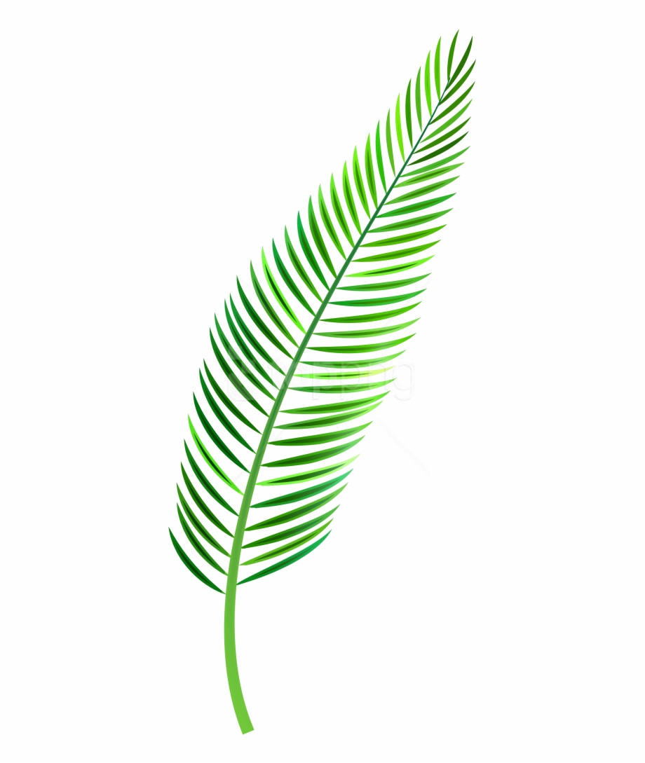 Download Palm Photo Toppng Palm Leaves Watercolor Png