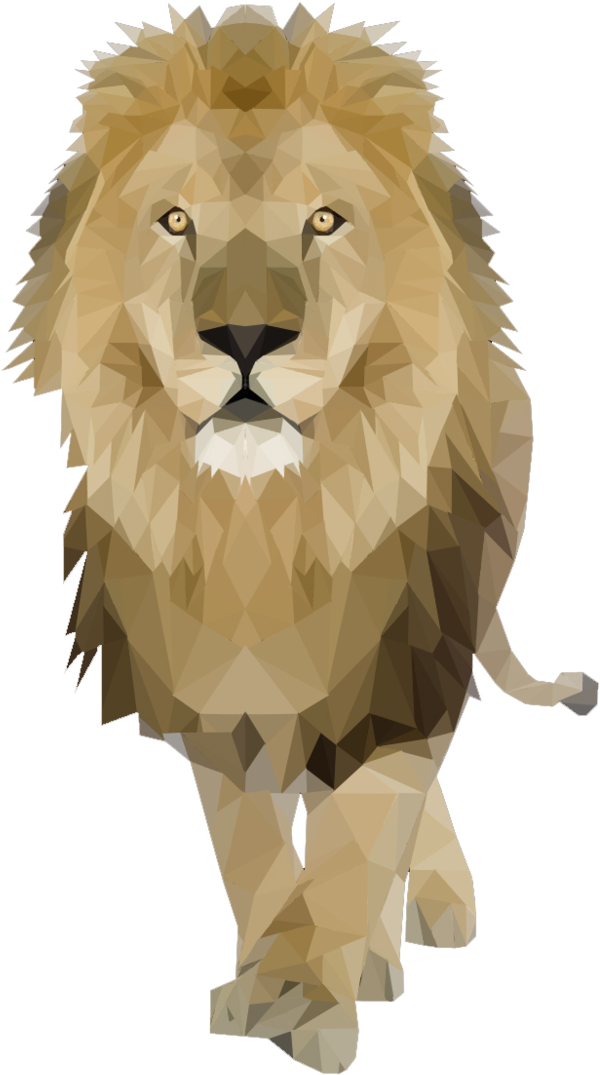 Lion Geometric