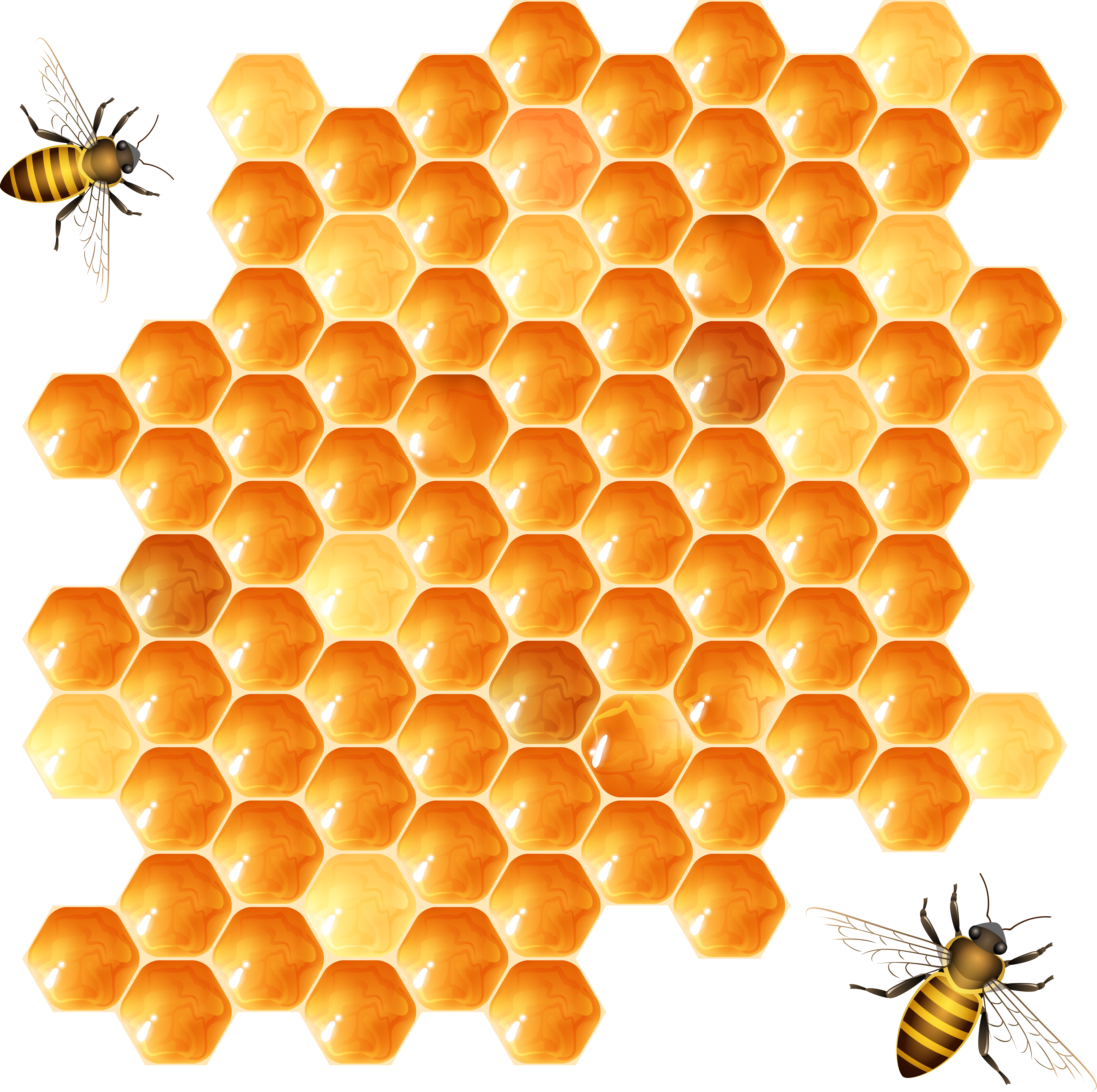 Honeycomb Png