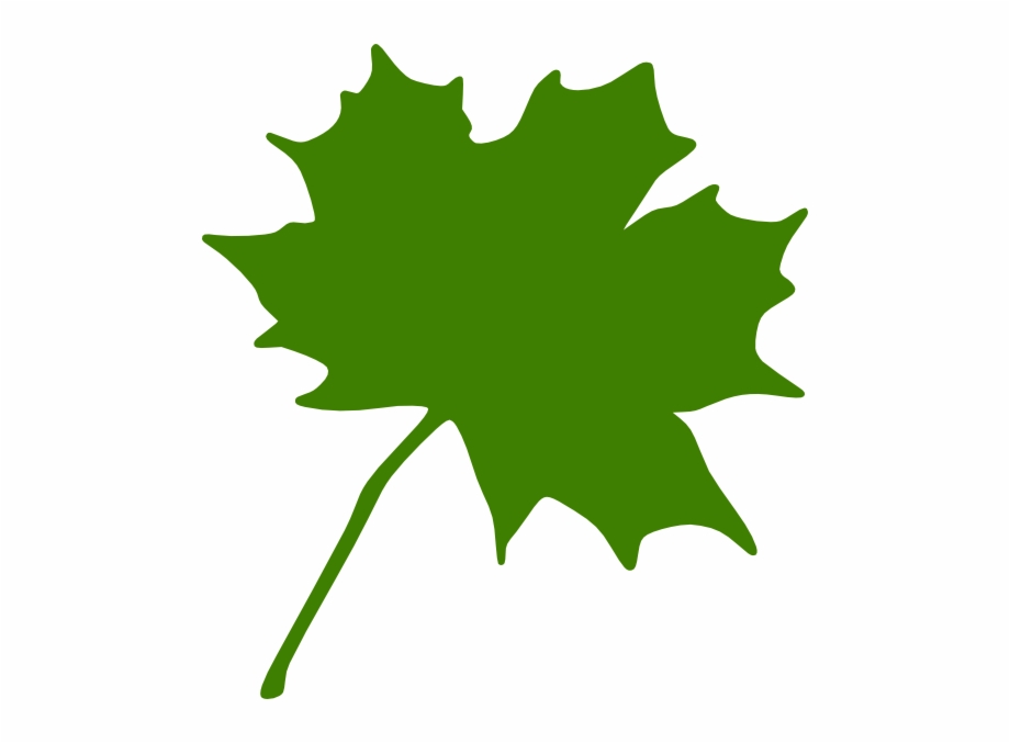 Maple Leaf Clipart Green Maple Leaf Clipart Clipart