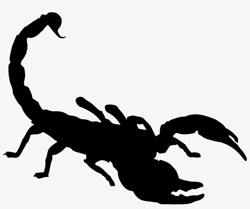 black scorpion logo