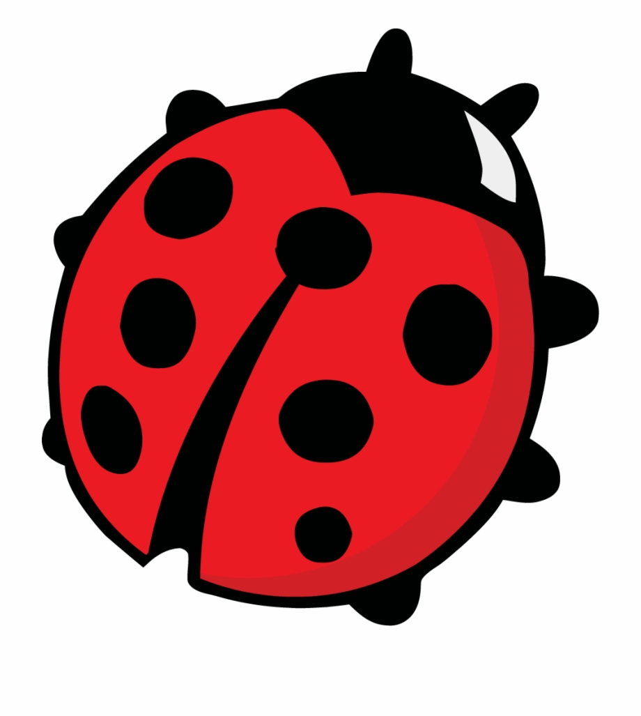 Some States Have The Ladybug As Its Offical