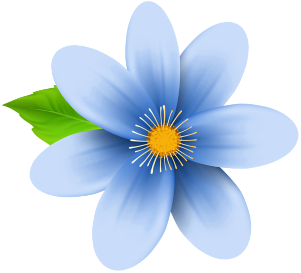 Blue Flower Png