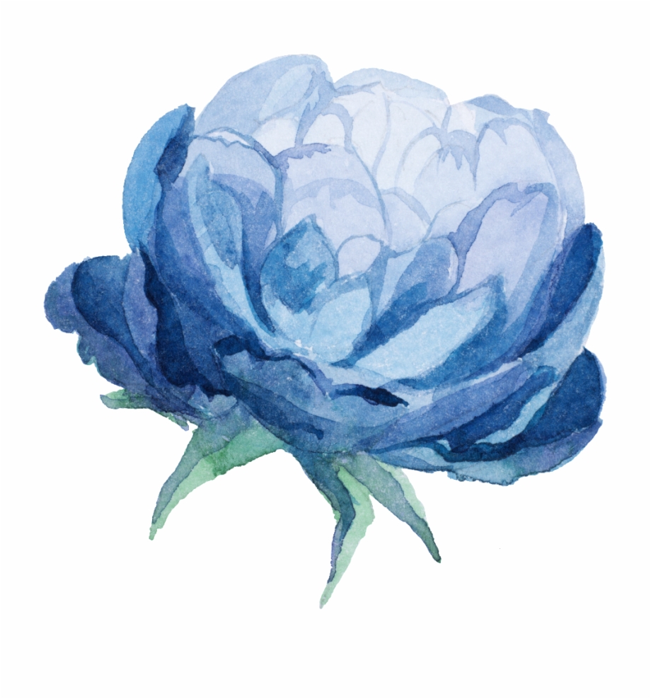 Watercolor Blue Flower Png Water Color Flowers Blue