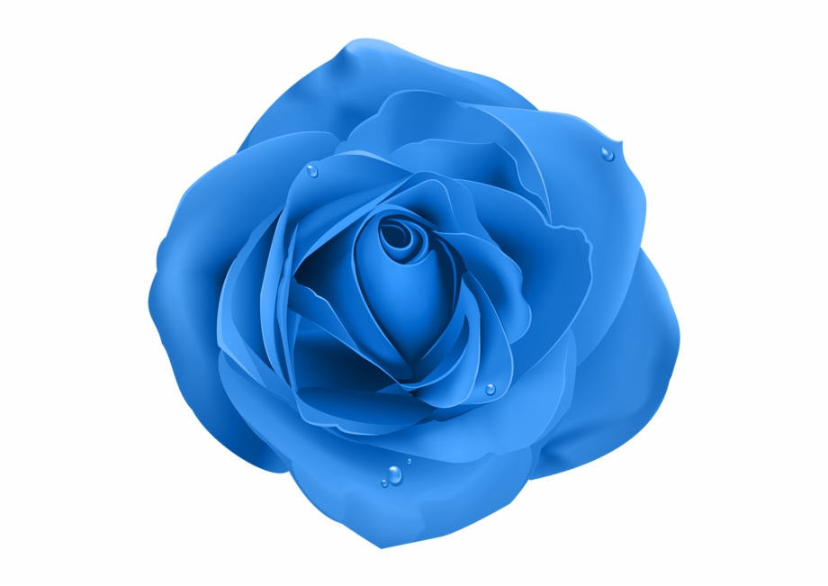Image Rose Png Transparent Flower Png Blue