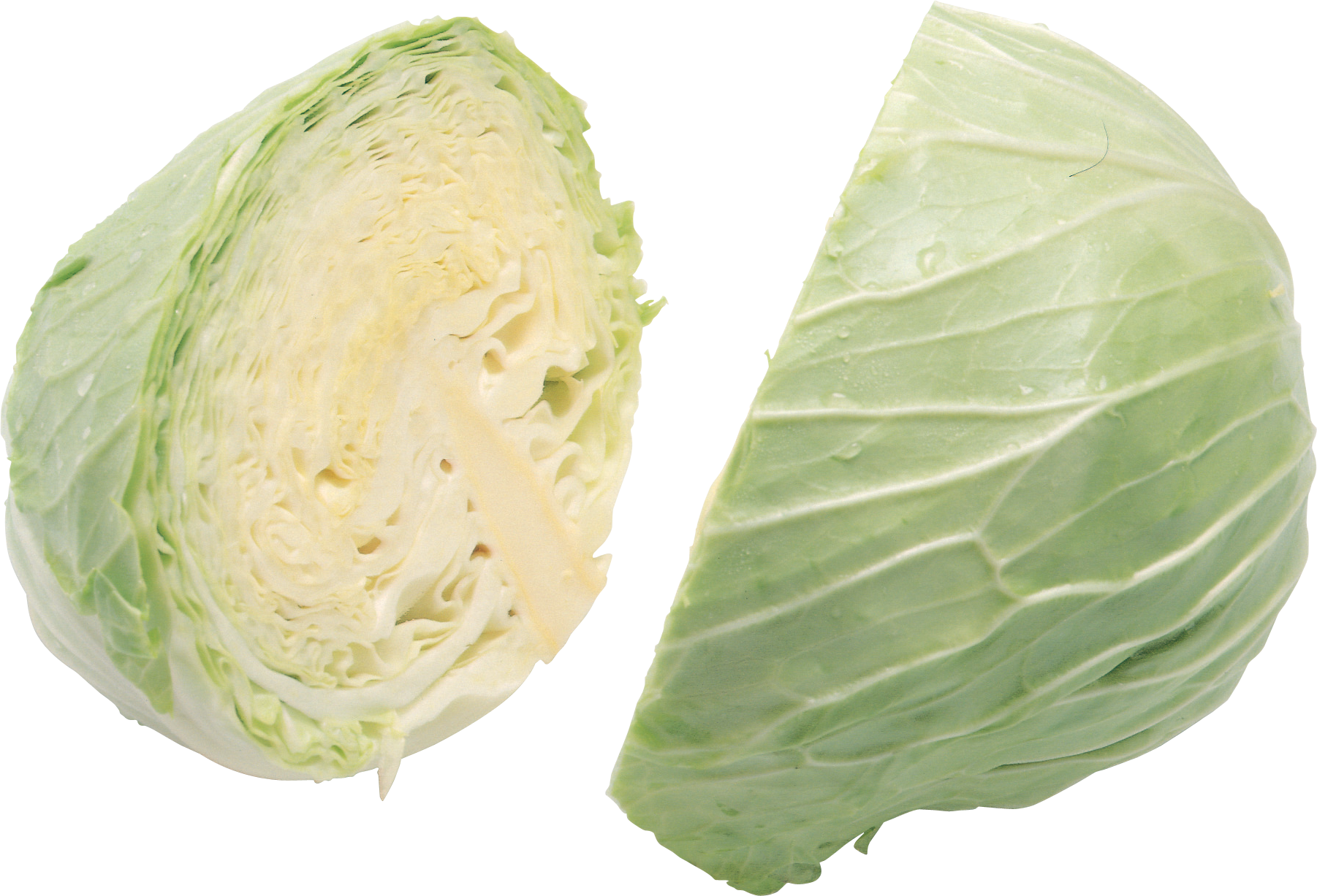 Cabbage Iceburg Lettuce