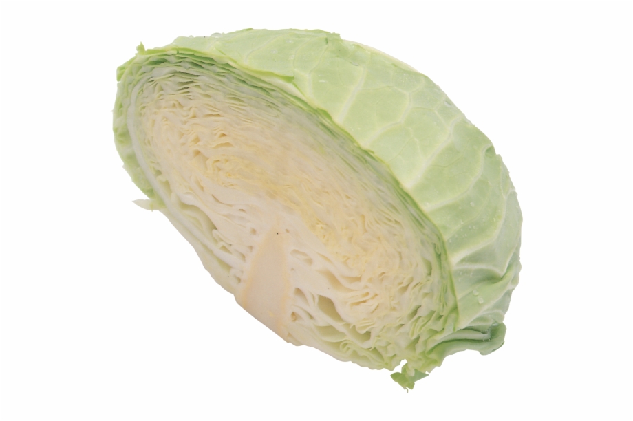 Cabbage Png Free Image Download Cabbage