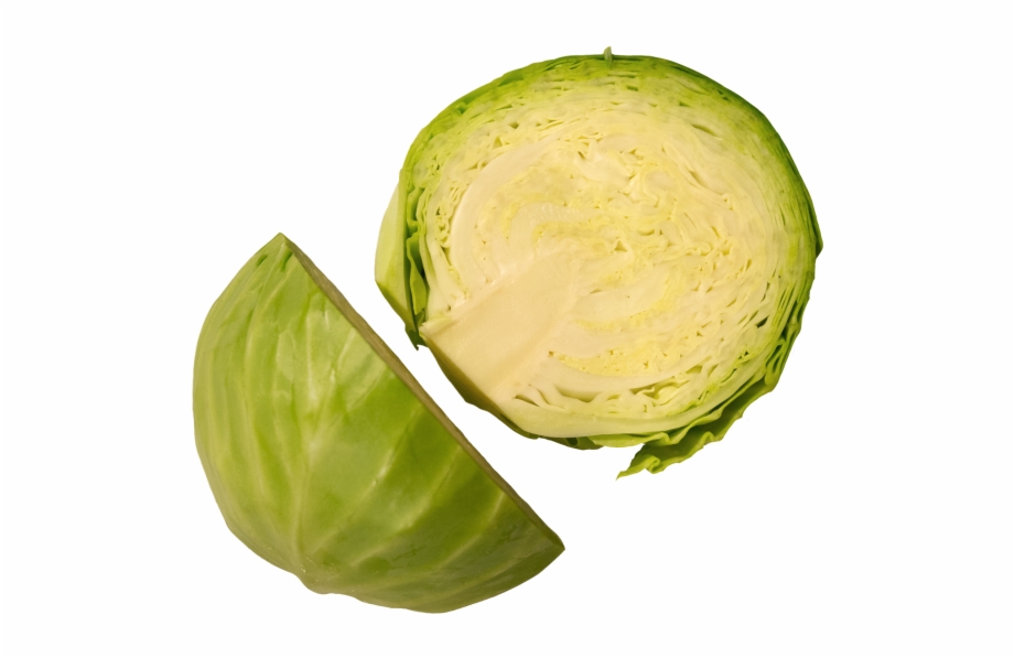 Cabbage Brussels Sprout
