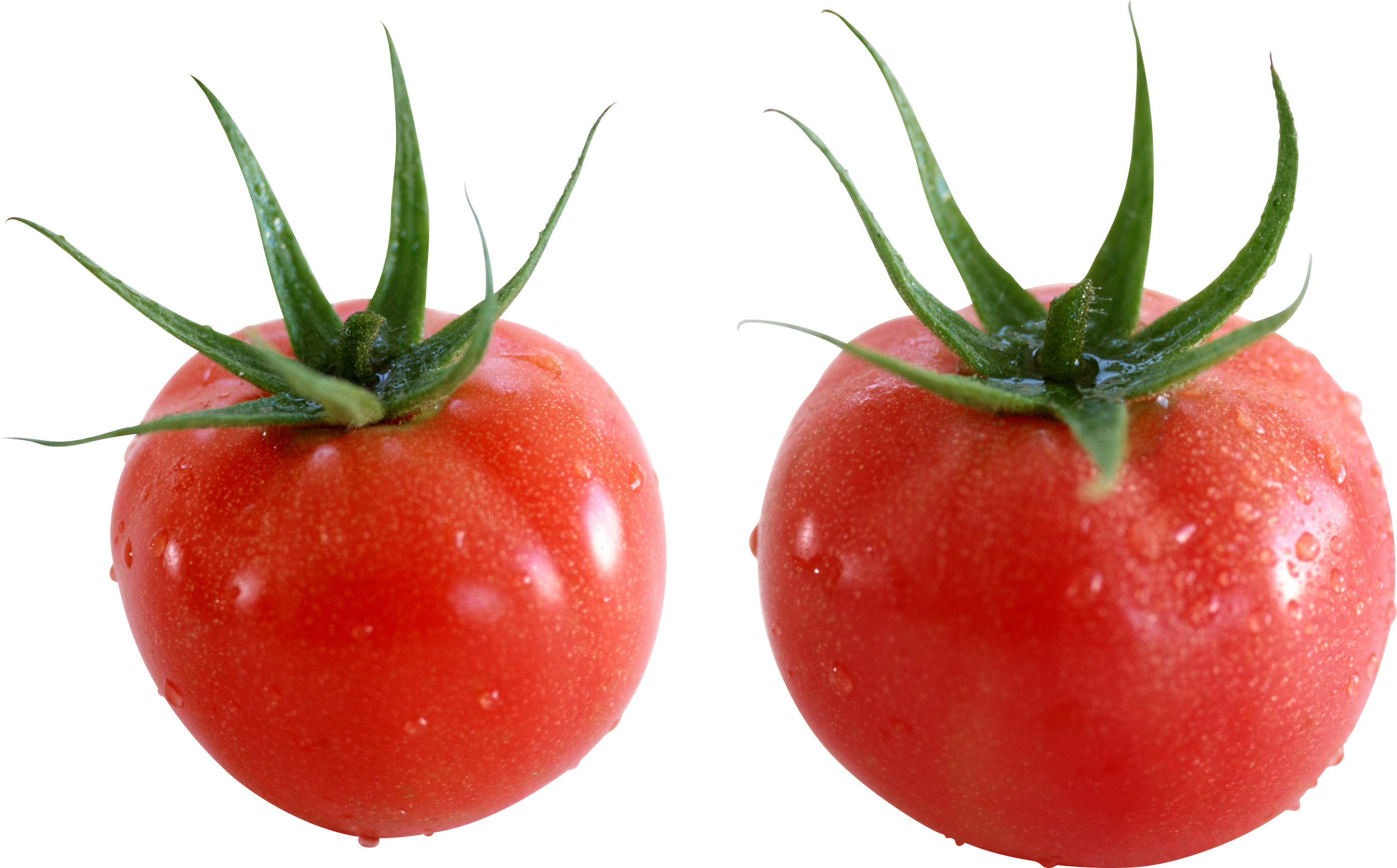 Red Tomatoes Tomato Alpha Png