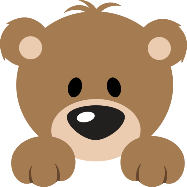 Teddy Png