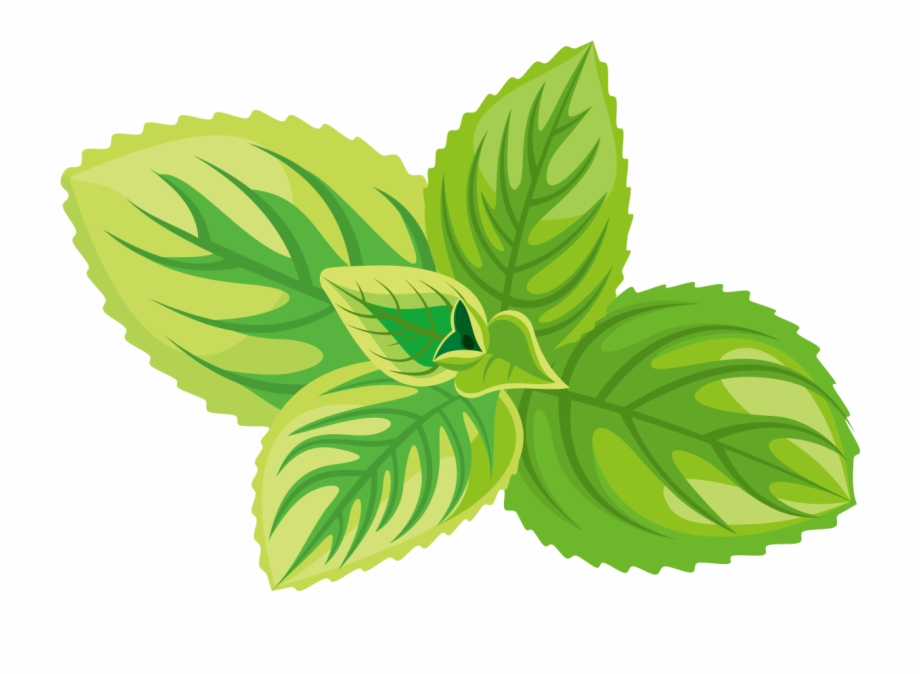 Herbs Clipart Black And White