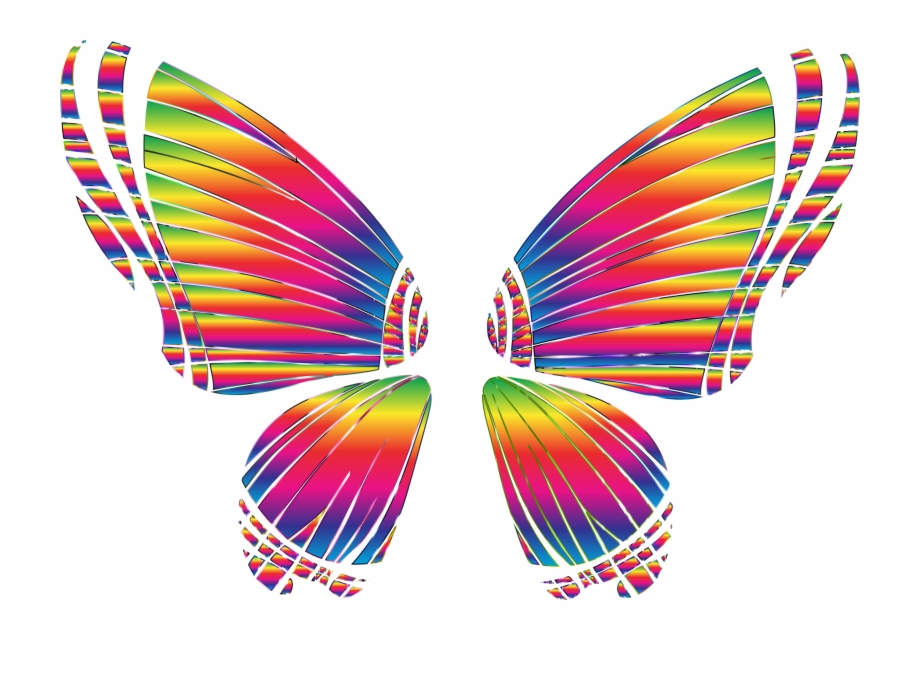 Rgb Butterfly Silhouette 10 8 No Background Bclipart