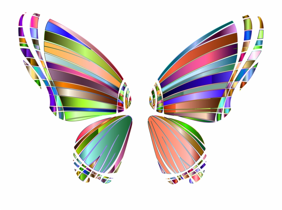 Rgb Butterfly Silhouette 10 5 No Background Icons