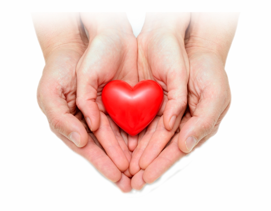 Assistance Heart In Hands Png