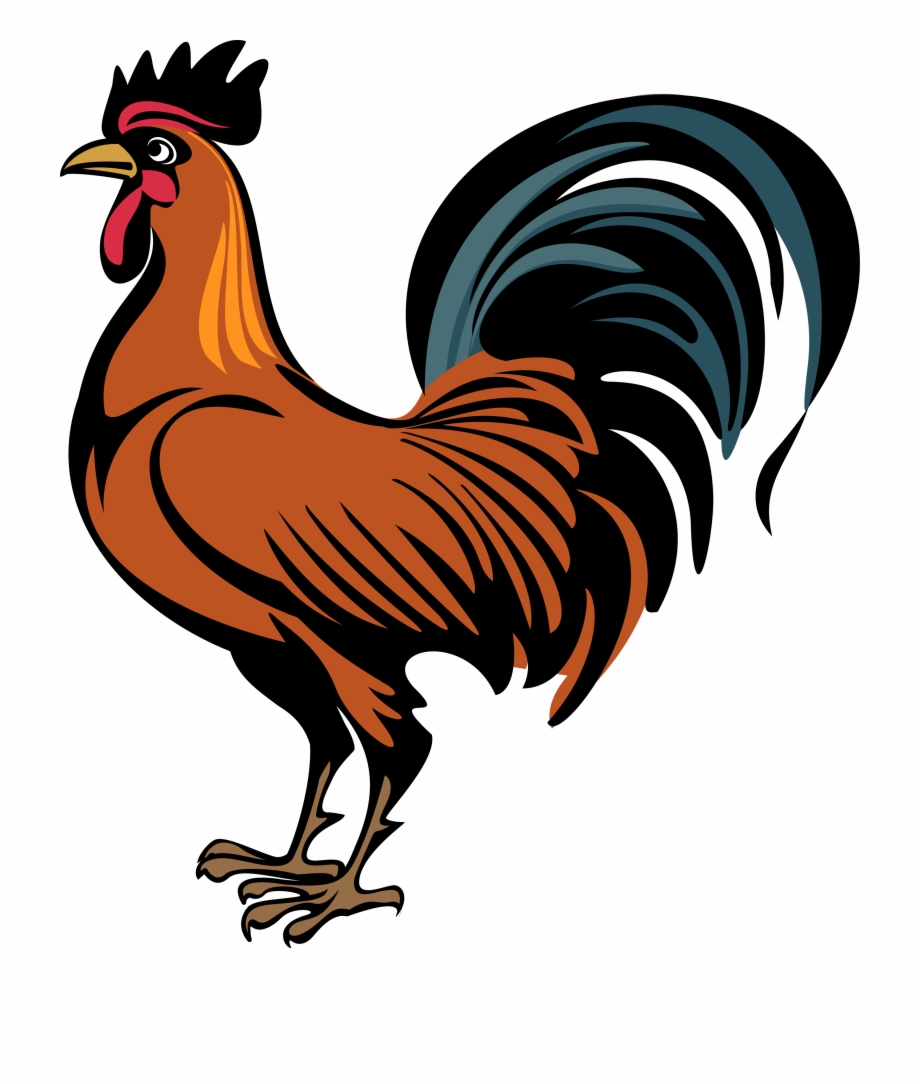 Rooster Clipart Transparent Background Cock Png