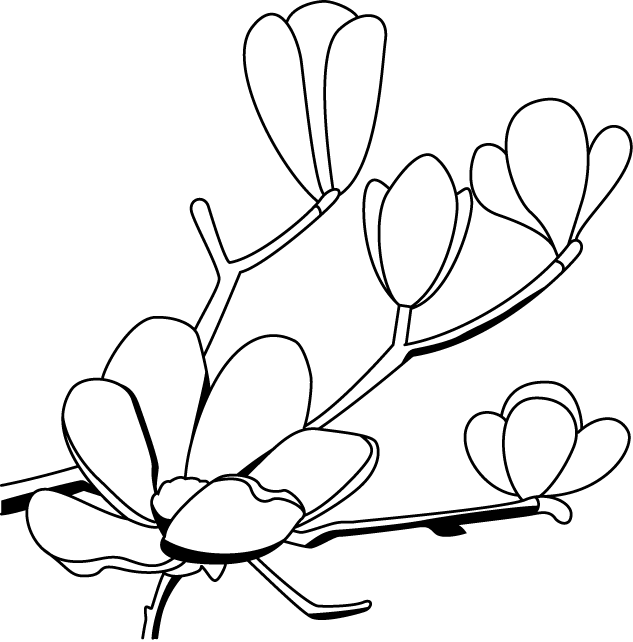 Magnolia Flower Clip Art 
