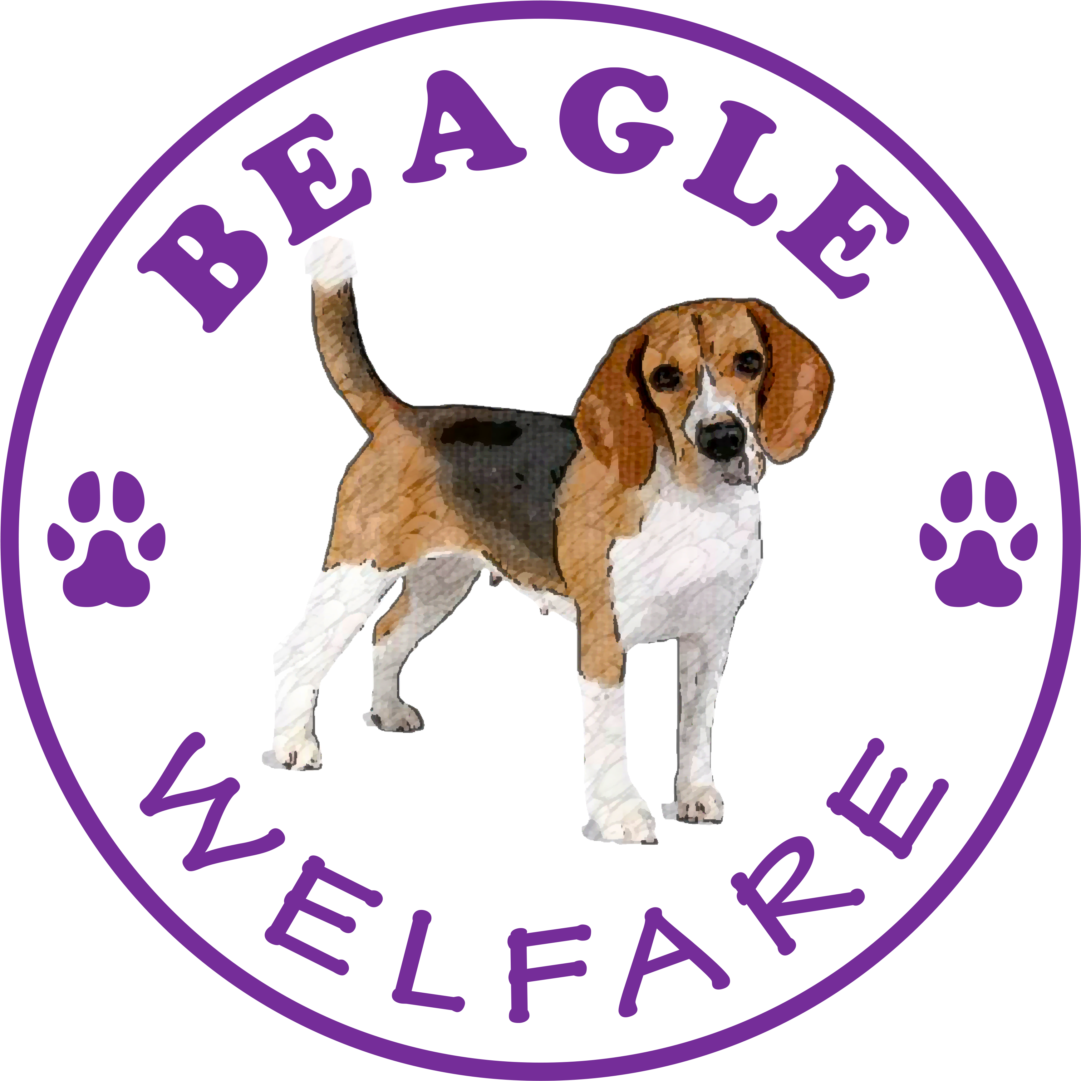 Beagle Welfare Stop Being A Pussy Rip N