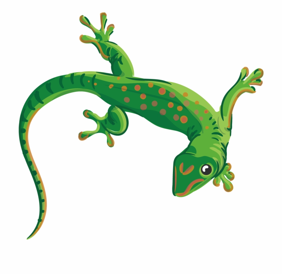 Collection Of Free Lizard Vector Reptile Transparent Background