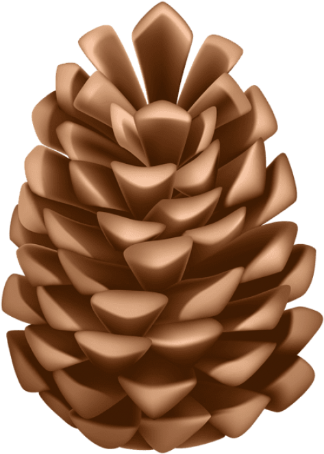 Download Pine Cone Png Clipart Png Photo Western