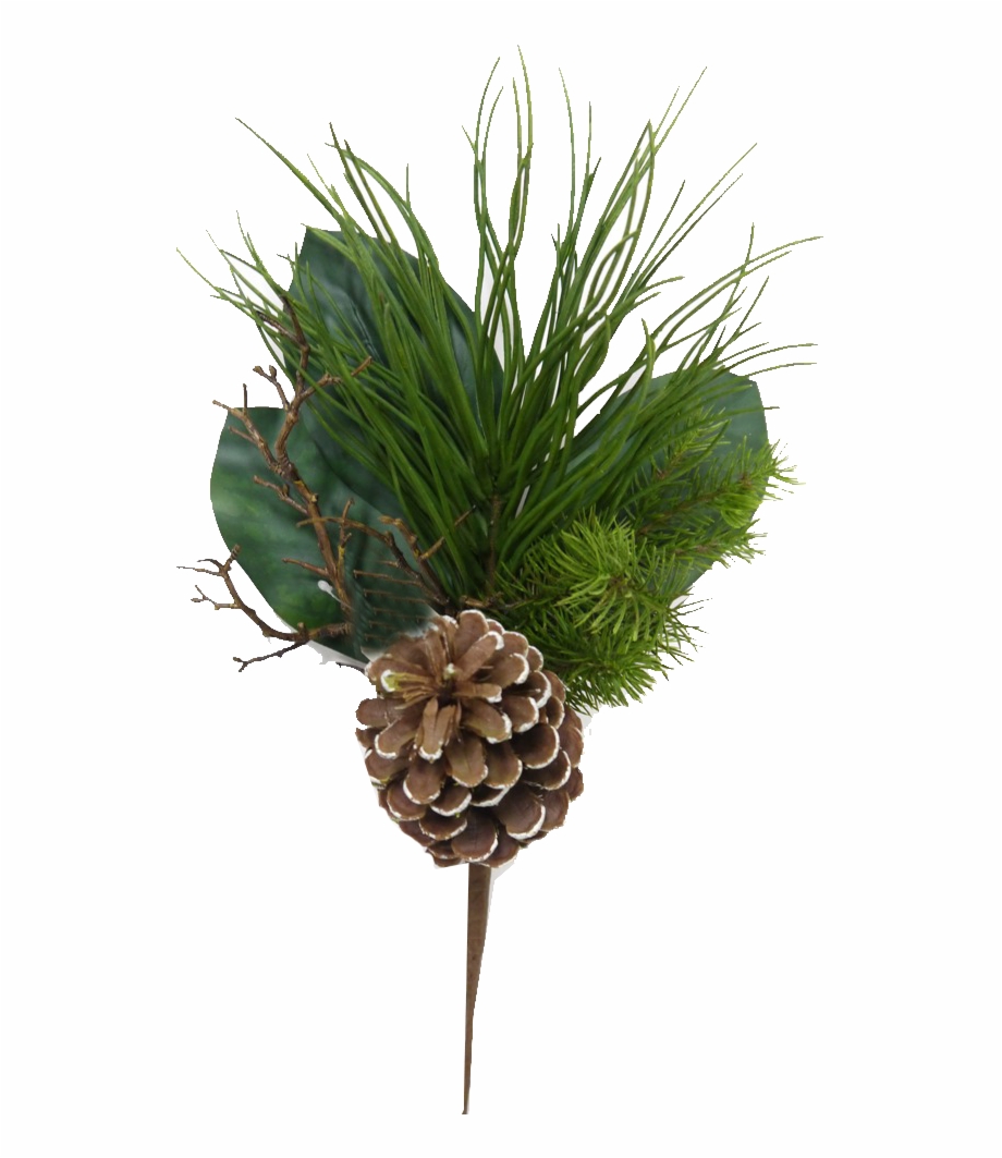 Mixed Evergreen Pick With Pinecones Grass