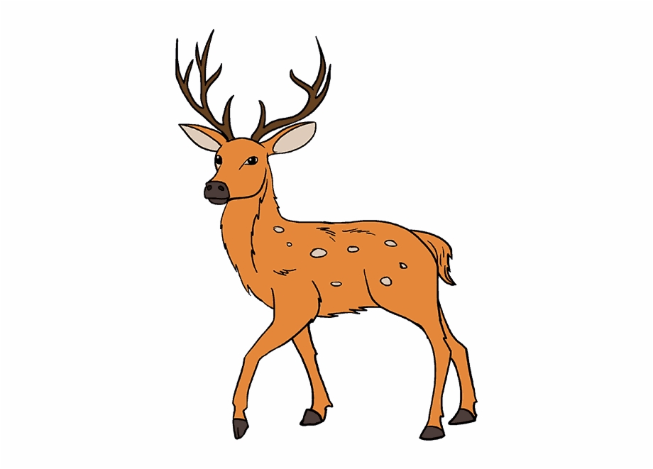 How To Draw A In Few Easy Deer