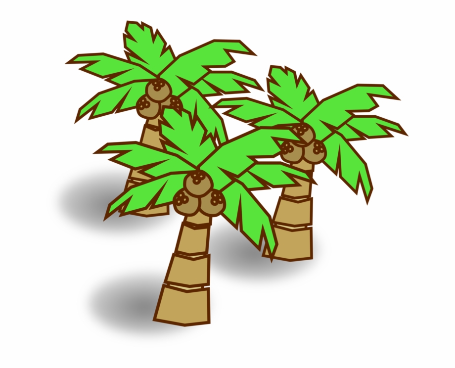 Computer Icons Jungle Map Download Symbol Coconut Tree