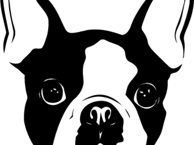 Boston Terrier Outline Drawings Clip Art Library - vrogue.co