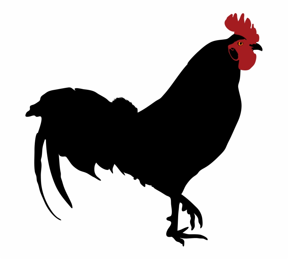 Rooster Silhouette Rooster Silhouette Png