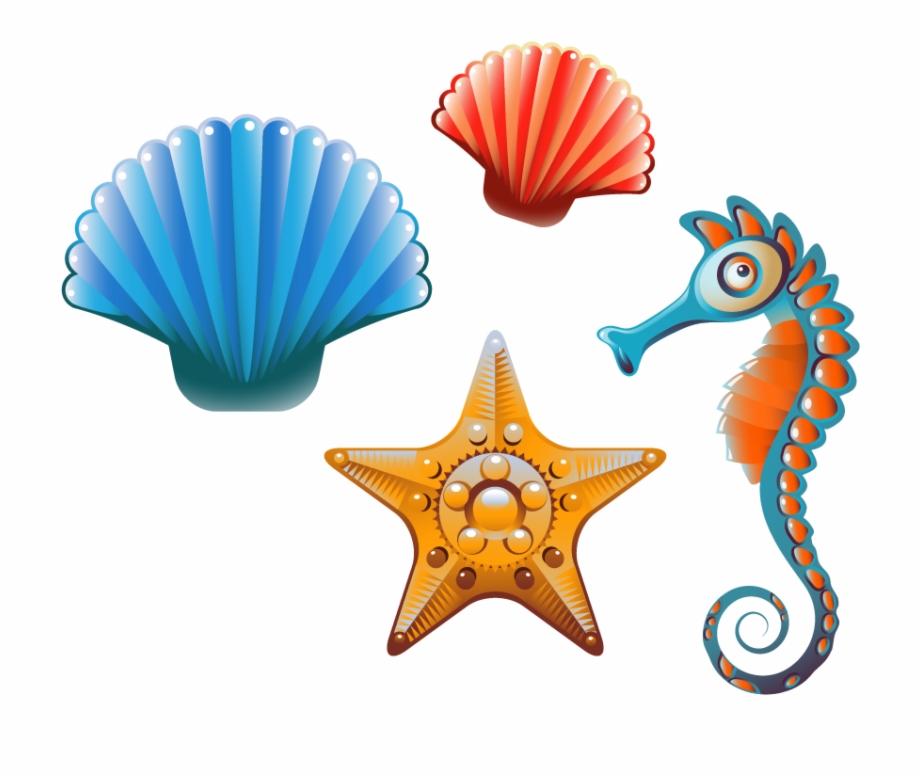 Clam Seashell Cartoon Clip Art Sea Shells Cartoon