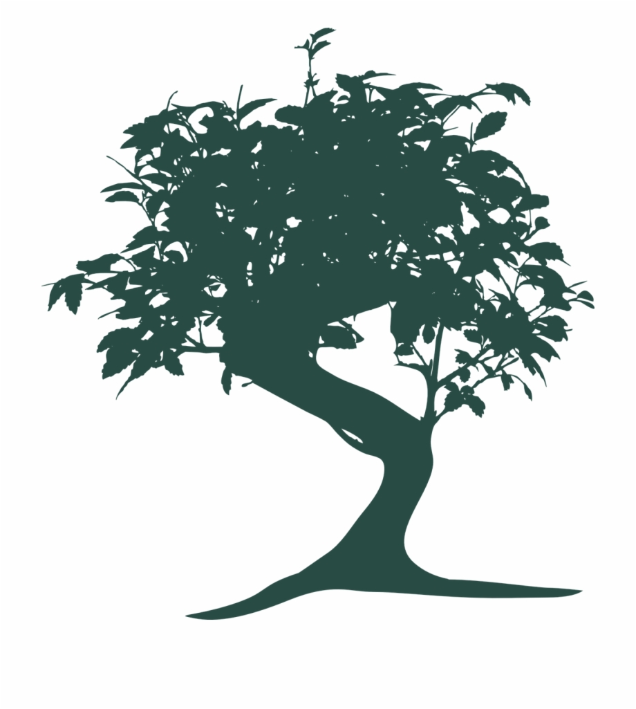 Bonsai Tree Nature Oriental Png Image Graphic Design