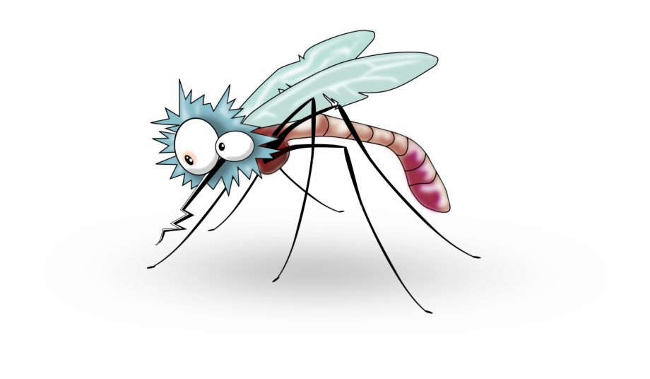 Banner Library Library Flies Clipart Mosquito Mosquitoes Png
