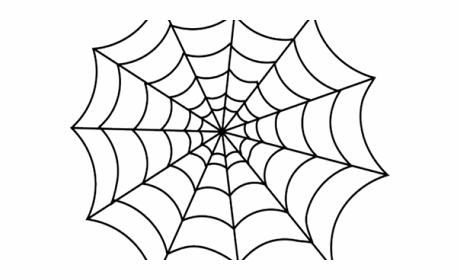 Drawn Spider Web Transparent Spider Web Clipart Png
