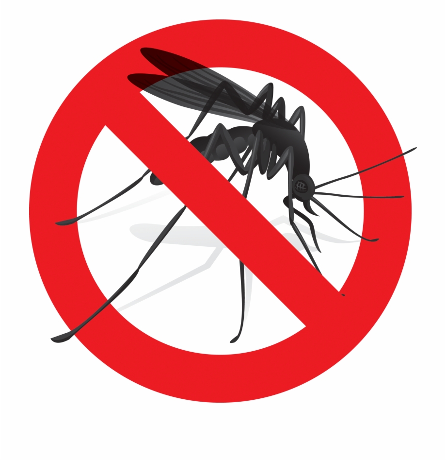 Mosquito Clipart Harm Say No To Zika