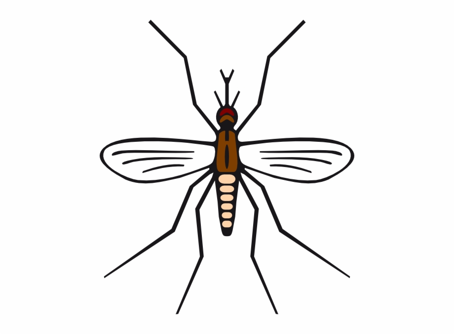 How To Set Use Mosquito In Brown Color